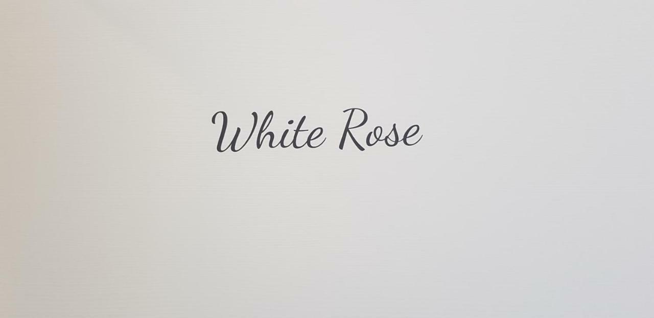 Little Rose Guest House Fiumicino Exterior photo