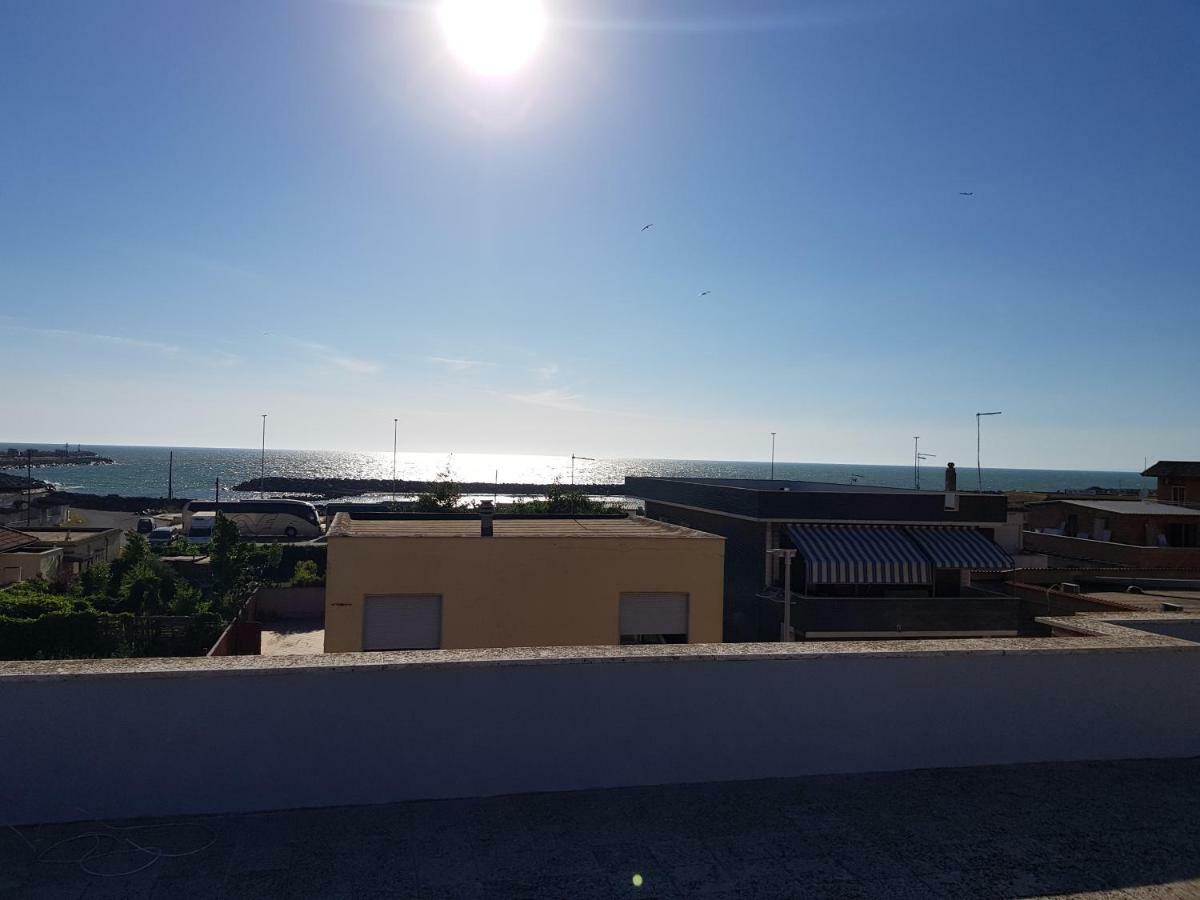 Little Rose Guest House Fiumicino Exterior photo